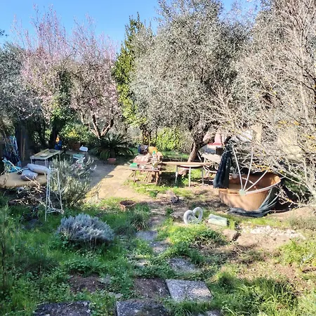 Turisti Nella Natura In Citta D'arte Kemping Florencja