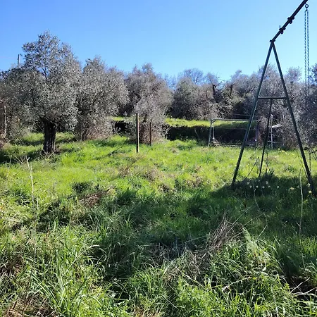 Turisti Nella Natura In Citta D'arte Φλωρεντία