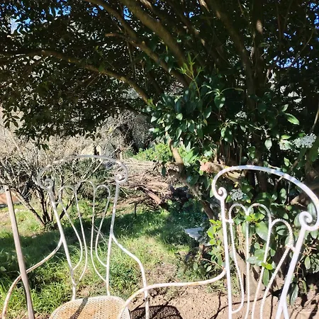 Κάμπινγκ Turisti Nella Natura In Citta D'arte Φλωρεντία